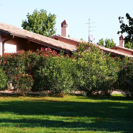 Trilo Dalia Villa Marina di Grosseto Exteriör bild