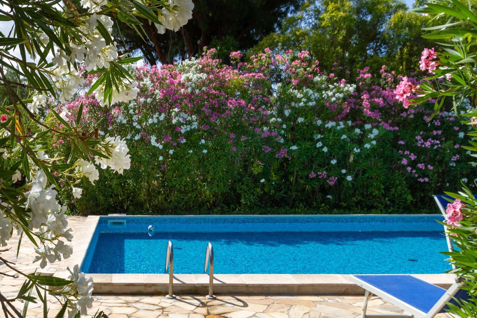 Trilo Dalia Villa Marina di Grosseto Exteriör bild