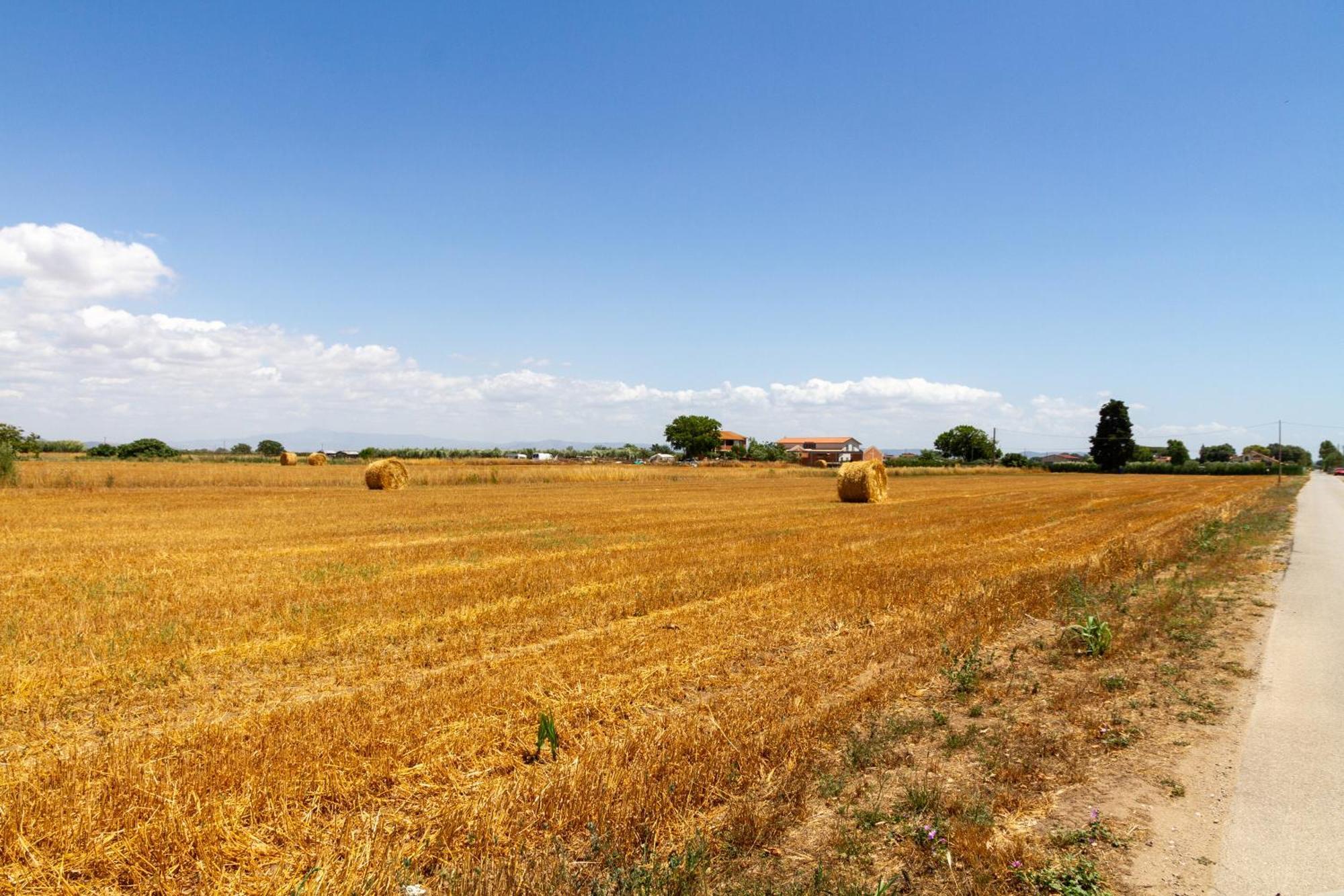 Trilo Dalia Villa Marina di Grosseto Exteriör bild